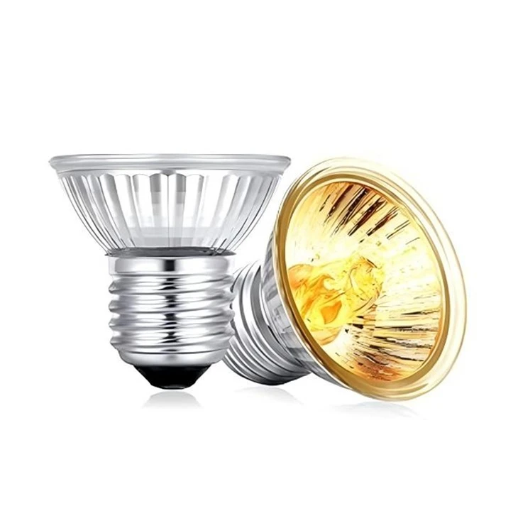 Halogen Reptile Lamp